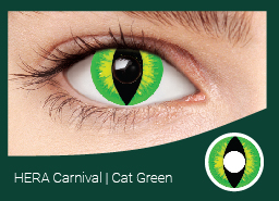 ЭРА карнавал зеленая кошка